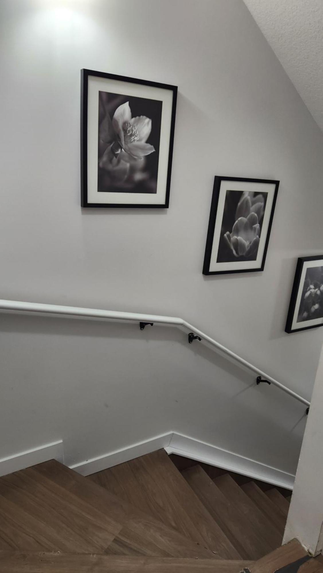 Modern 2 Bedroom Basement Suite At West Edmonton Esterno foto